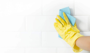 /assets/content/2022/10/hand-and-glove-cleaning-the-bathroom-tiles-2022-10-19-05-13-00-utc-scaled.jpg